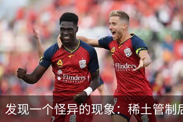 发现一个怪异的现象：稀土管制后，美西方的军工企业还正常生产？