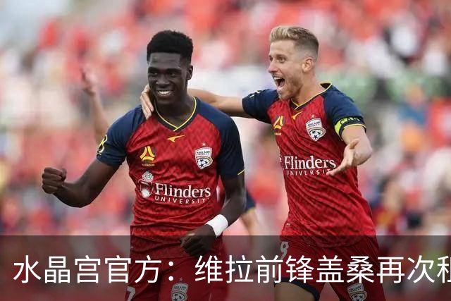 水晶宫官方：维拉前锋盖桑再次租借加盟，租期1个赛季含买断条款