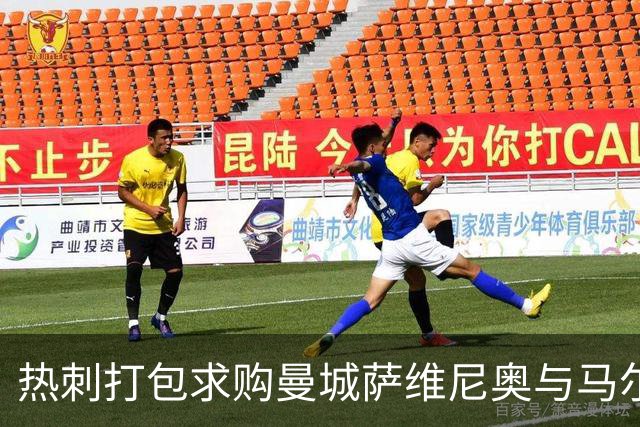 热刺打包求购曼城萨维尼奥与马尔穆什 总价或破2亿镑